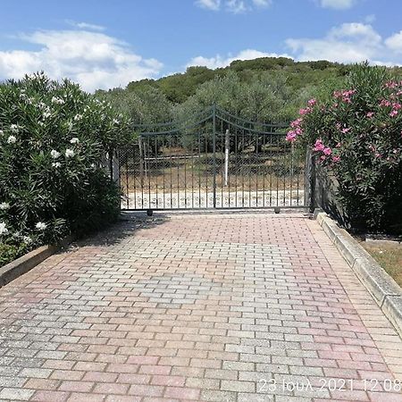 Elena'S Green House Nea Iraklitsa ภายนอก รูปภาพ