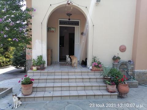 Elena'S Green House Nea Iraklitsa ภายนอก รูปภาพ