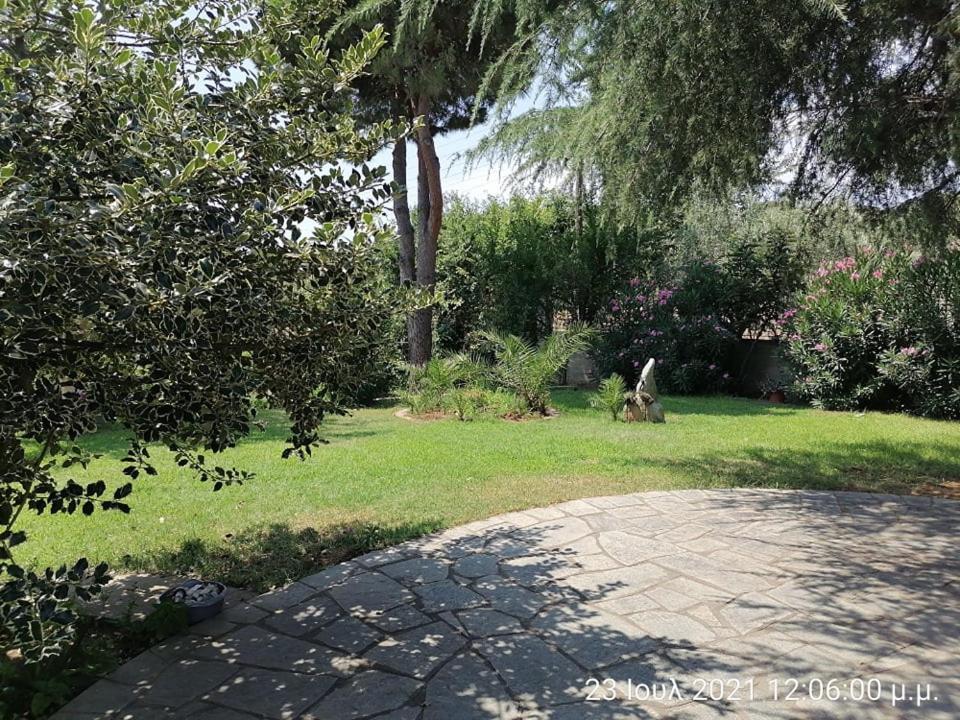 Elena'S Green House Nea Iraklitsa ภายนอก รูปภาพ